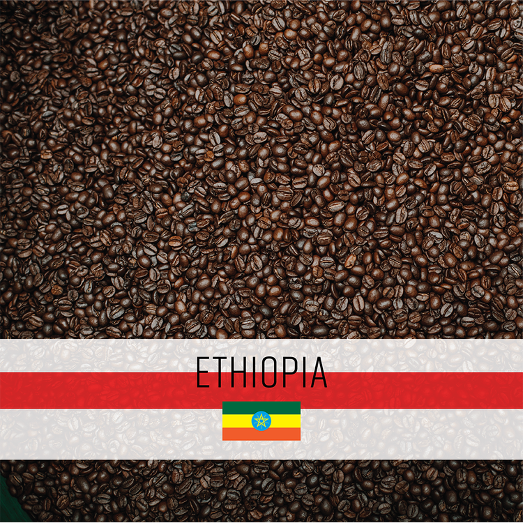 Ethiopia Sidamo Mokosina Rari