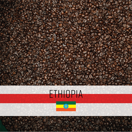 Ethiopia Sidamo Mokosina Rari